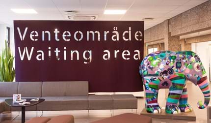 CoverSingle rumafskærmning i filt ophængt med wire (1)